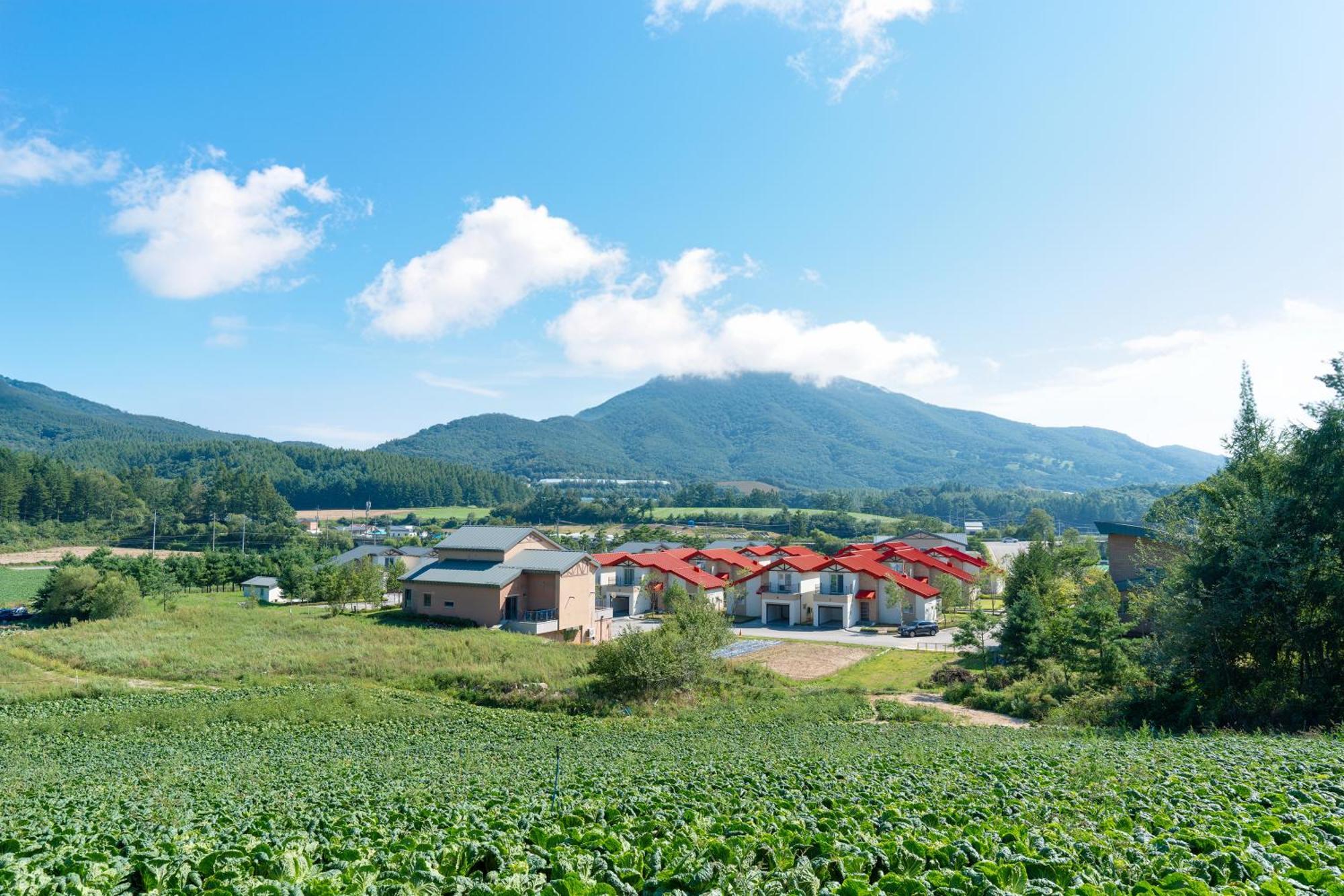 Hotel Le Comte Bleu Pyeongchang Exterior foto